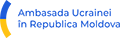 Ambasada Logo blue